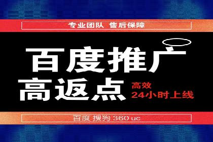 百度竞价包年推广：成功案例解析与效果评估