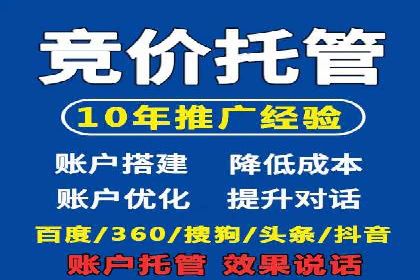竞价广告赚钱案例：从新手到专家